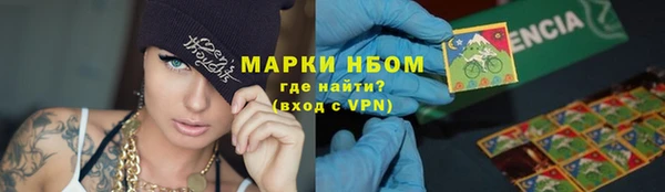 прущие грибы Армянск