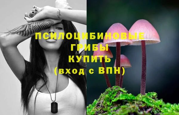 ГАЛЛЮЦИНОГЕННЫЕ ГРИБЫ Алексин