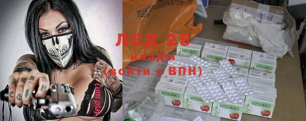 прущие грибы Армянск