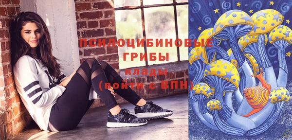 прущие грибы Армянск