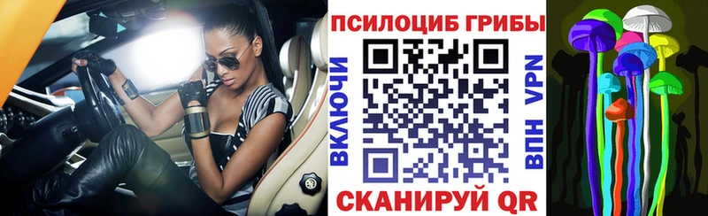 Псилоцибиновые грибы мицелий  kraken как зайти  Обоянь  закладки 